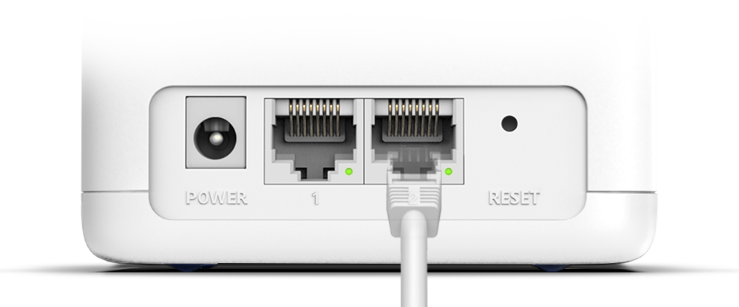 Conector RJ45 CAT6